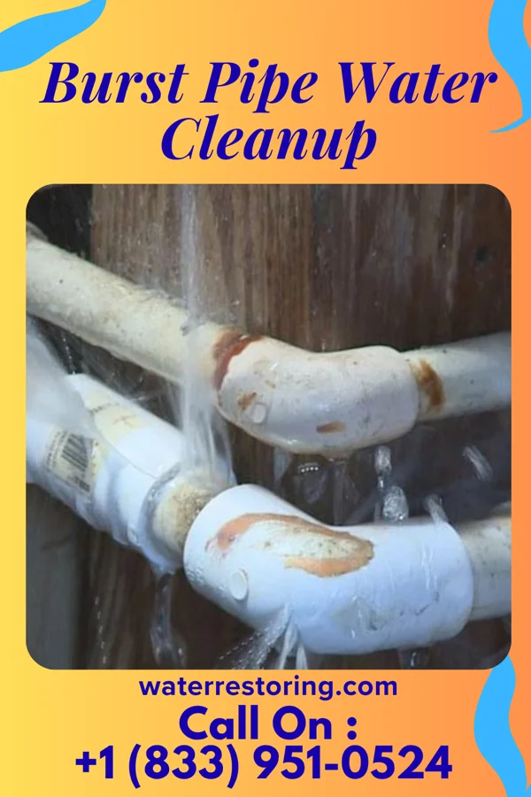 Burst Pipe Water Cleanup in East Rutherford, NJ