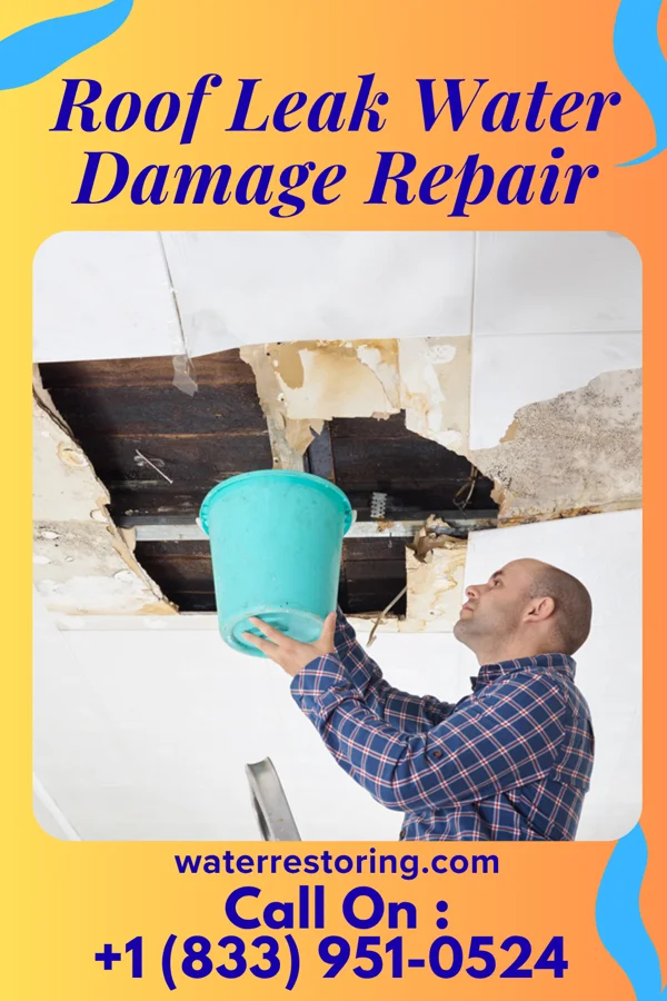 Roof Leak Water Damage Repair in East Rutherford, NJ