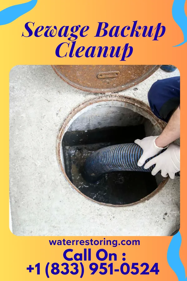 Sewage Backup Cleanup in East Rutherford, NJ