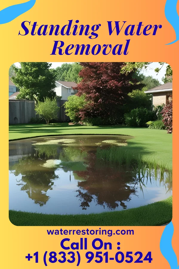 Standing Water Removal in East Rutherford, NJ